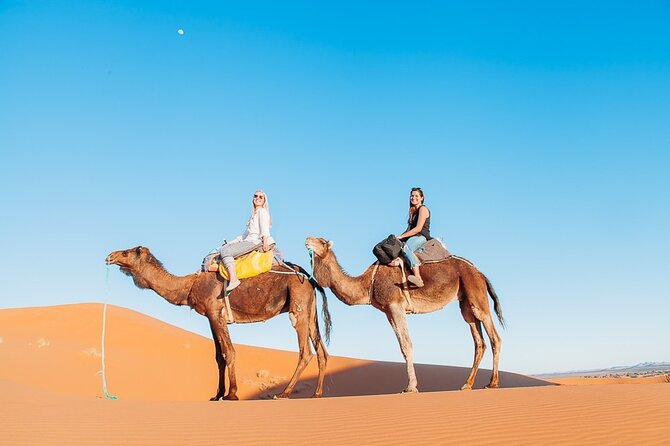 Agadir or taghazout : 4×4 Jeep Sahara Desert Trip with Lunch - Getting picked up in Agadir or Taghazout, and why timing matters