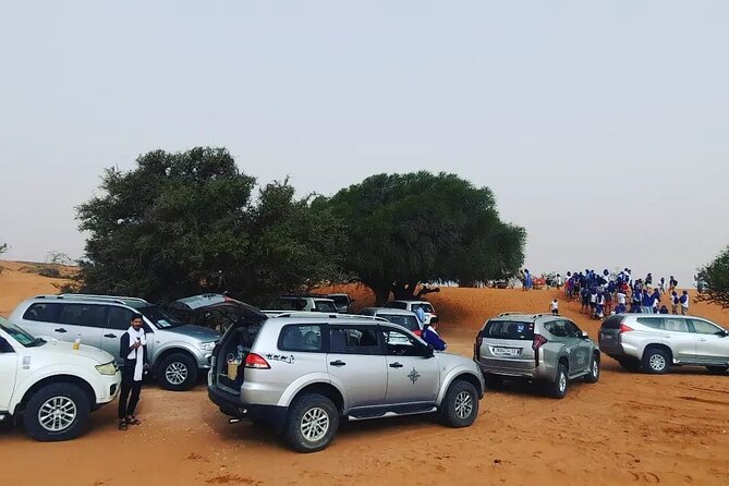 Agadir or taghazout : 4×4 Jeep Sahara Desert Trip with Lunch - Massa River bird stop: a quick nature break if timing is right