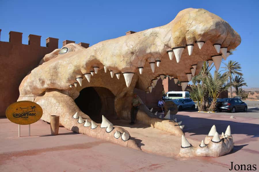 Agadir or Taghazout: Goat on Trees and Crocoparc with Pickup - A half-day between Agadir and the argan trees