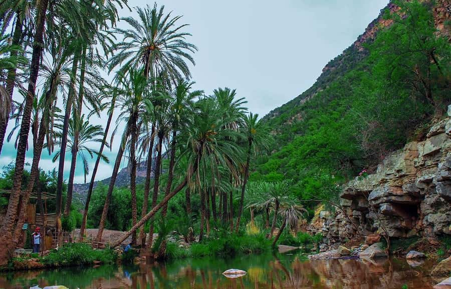 Agadir or Taghazout: Paradise Valley Atlas Mountain Trip - Key things to know before you go