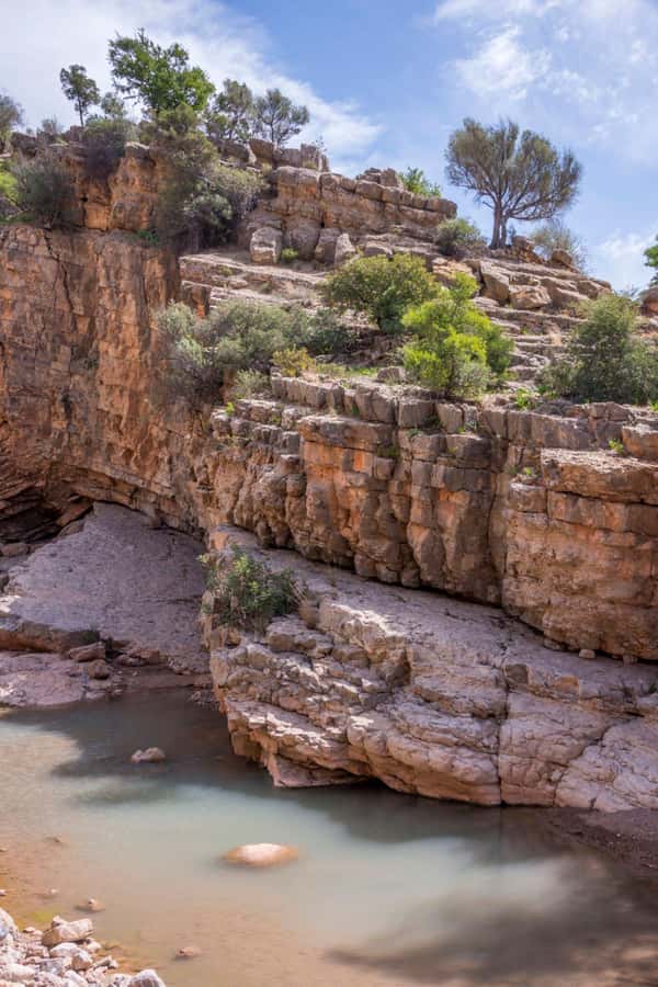 Agadir or Taghazout: Paradise Valley Atlas Mountain Trip - The botanical garden visit and the women’s Argan House stop