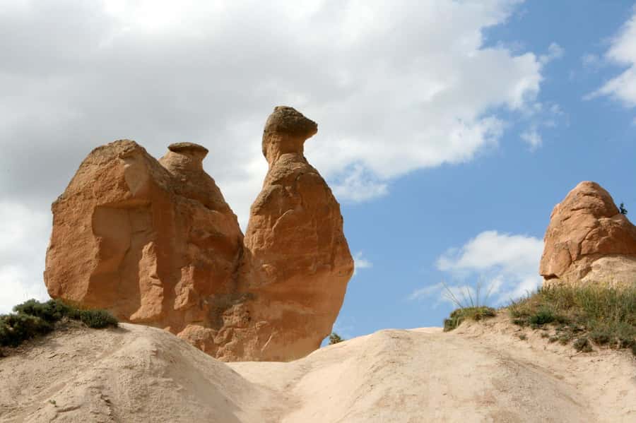 Agadir or Taghazout: Paradise Valley Atlas Mountains - Should you book the MIZIZIL Tour to Paradise Valley?