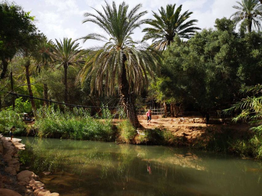 Agadir or Taghazout: Paradise Valley Atlas Mountains Tour - Should You Book This Trip?