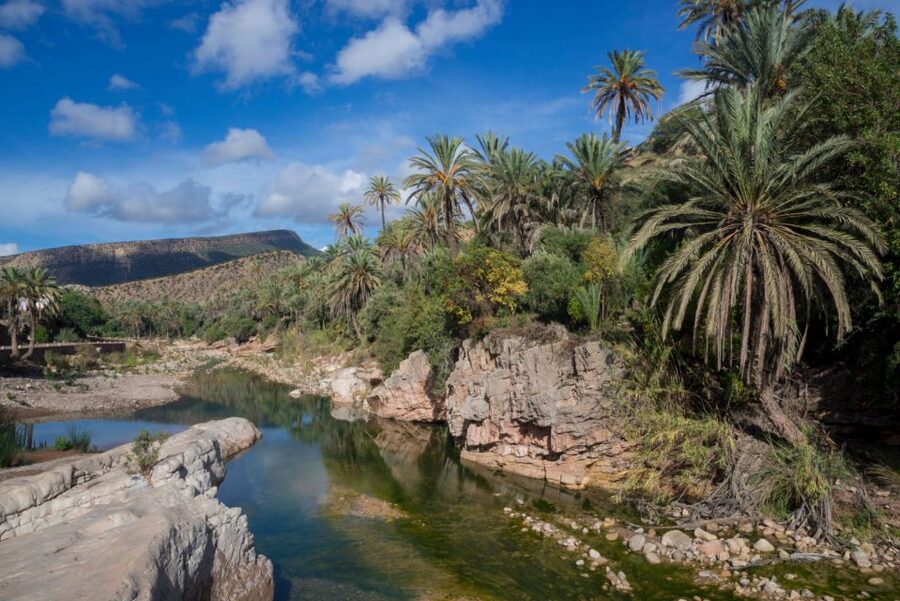 Agadir or Taghazout: Paradise Valley Atlas Mountains Tour - Lunch Option, Drinks, and Timing That Won’t Overcook Your Day