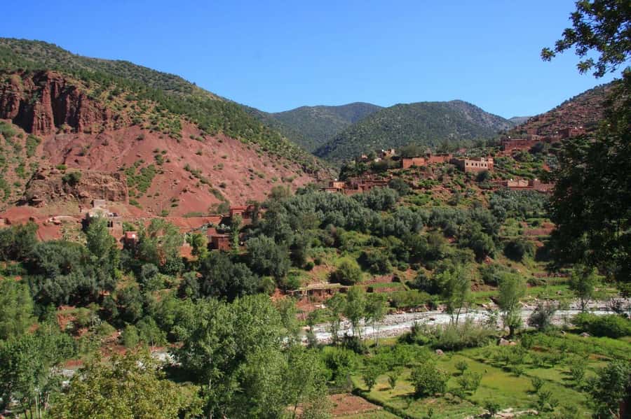 Agadir or Taghazout: Paradise Valley Atlas Mountains Trip - Honey Road to Immouzar, and why the drive is part of the experience