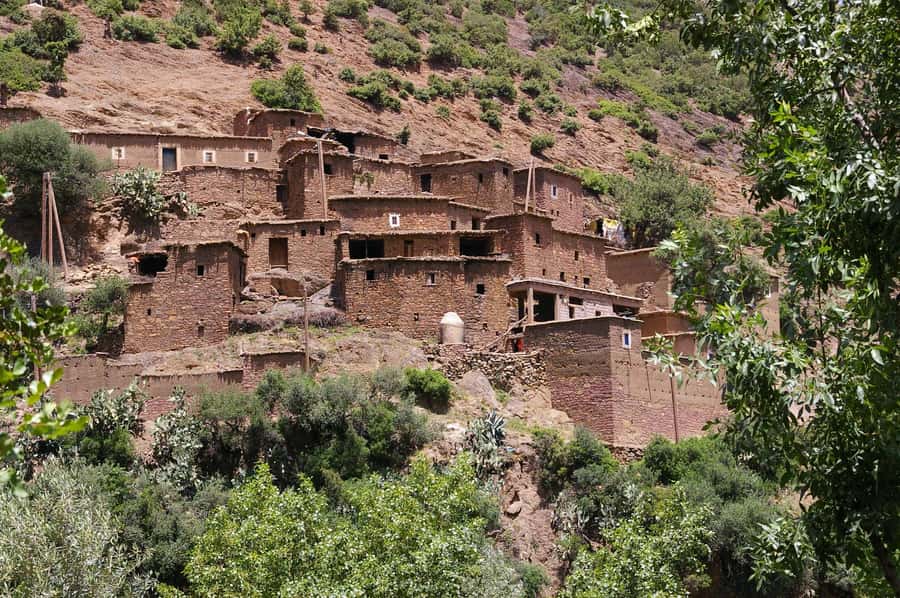 Agadir or Taghazout: Paradise Valley Atlas Mountains Trip - Entering Paradise Valley: palms, stone formations, and real down time