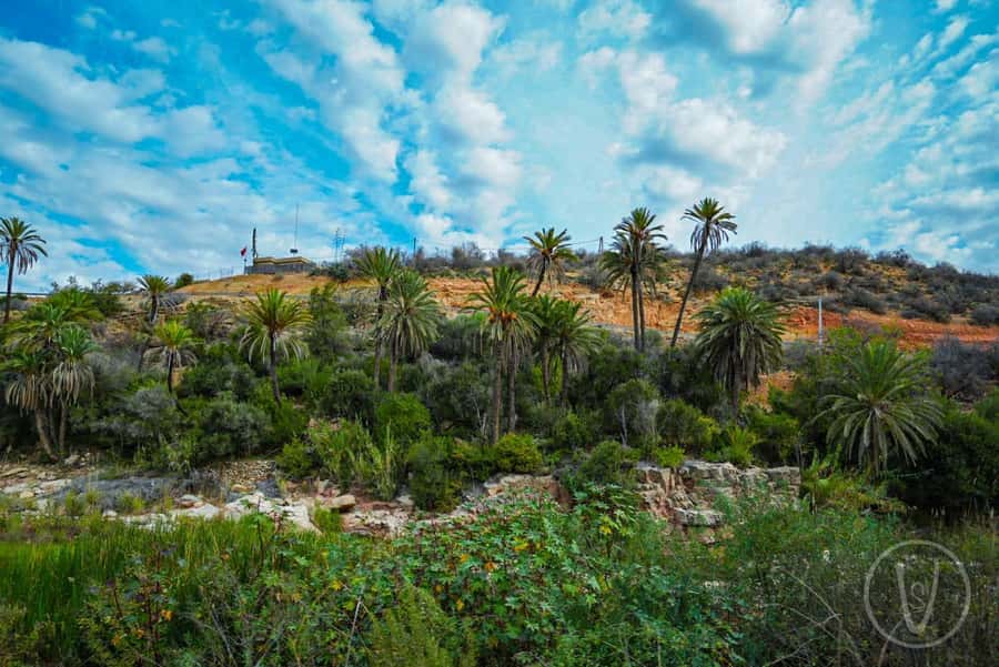 Agadir or Taghazout: Paradise Valley with Lunch & Transfers - Free Time in the Valley: Build Your Own Day