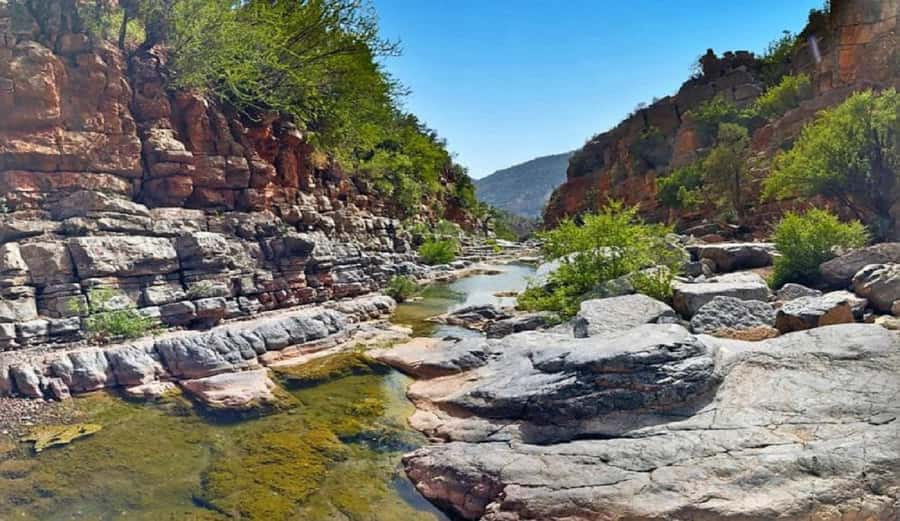 Agadir or Taghazout: Paradise Valley with Lunch & Transfers - Lunch and Transfers: What’s Included, What to Confirm
