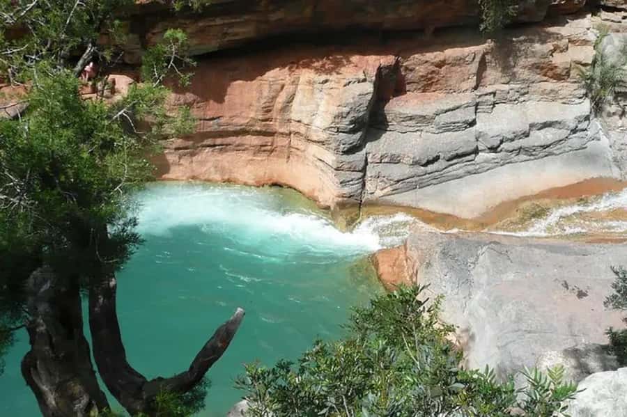 Agadir or Taghazout: Paradise Valley with Lunch & Transfers - Transfers, Vehicles, and Guide Quality: The Difference Maker
