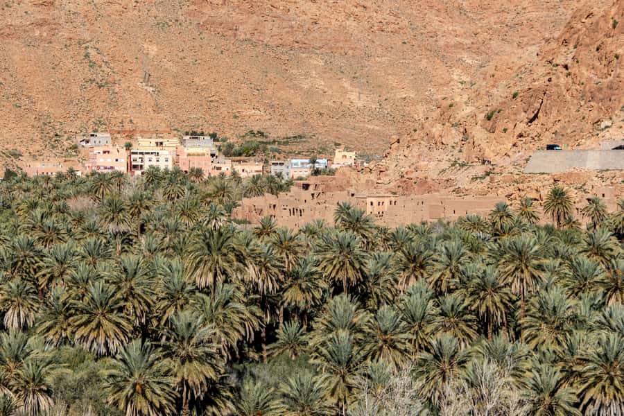 Agadir or Taghazout: Paradise Valley with Lunch & Transfers - Timing and pick-up: Agadir, Taghazout, and Tamraght