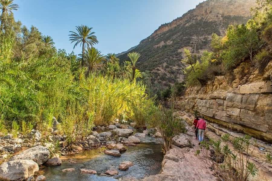 Agadir: Paradise Valley & Desert Sand Dunes with Camel Ride - Key highlights you should care about