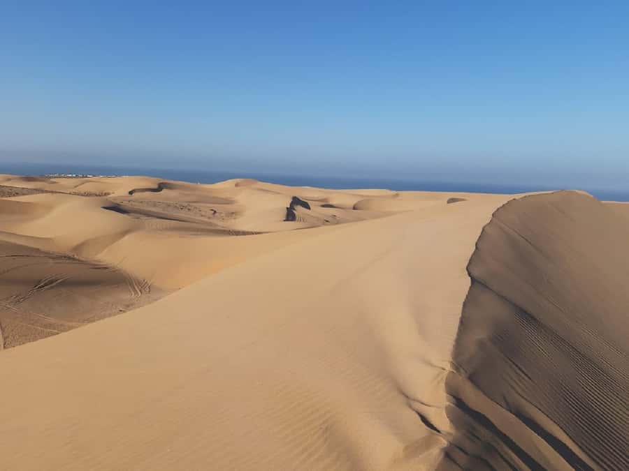 Agadir: Paradise Valley & Desert Sand Dunes with Camel Ride - Tamri lunch: homemade tahini, Berber-style comfort food, and good pacing