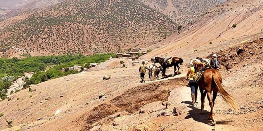 Agadir: Quad Safari with Crocoparc Optional - Price and Value: Why $29 Can Be a Real Bargain