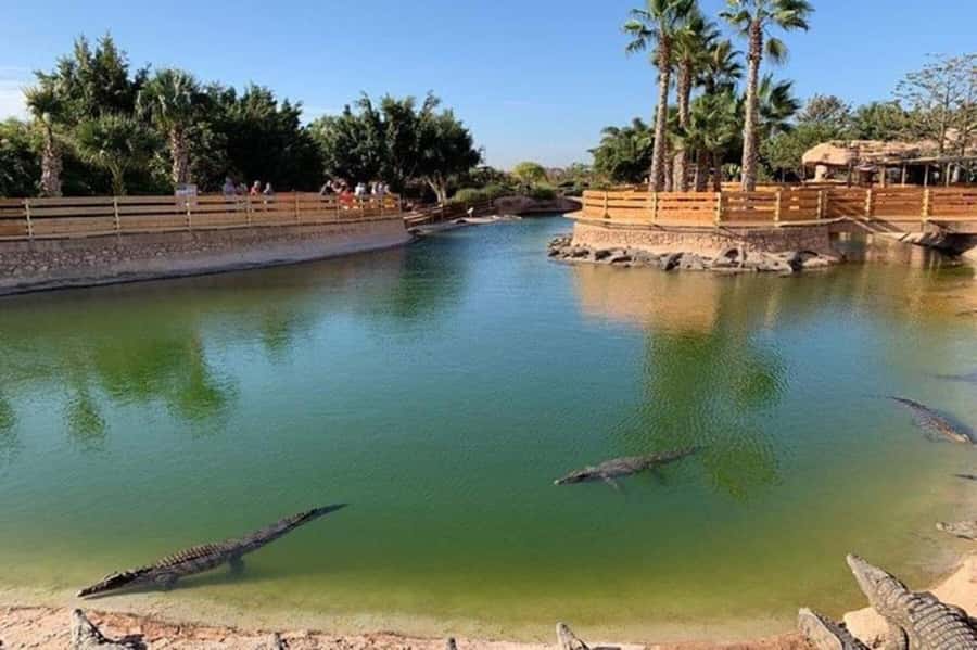 Agadir: Quad Safari with Crocoparc Optional - Safety Gear, Guides, and How the Small-Group Format Feels
