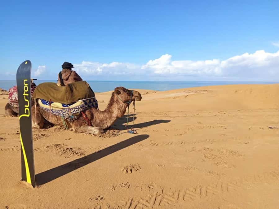 Agadir Sinec Canyon Desert Tour + Optional Sandboarding - Who this Agadir to Sinec Canyon day trip suits best