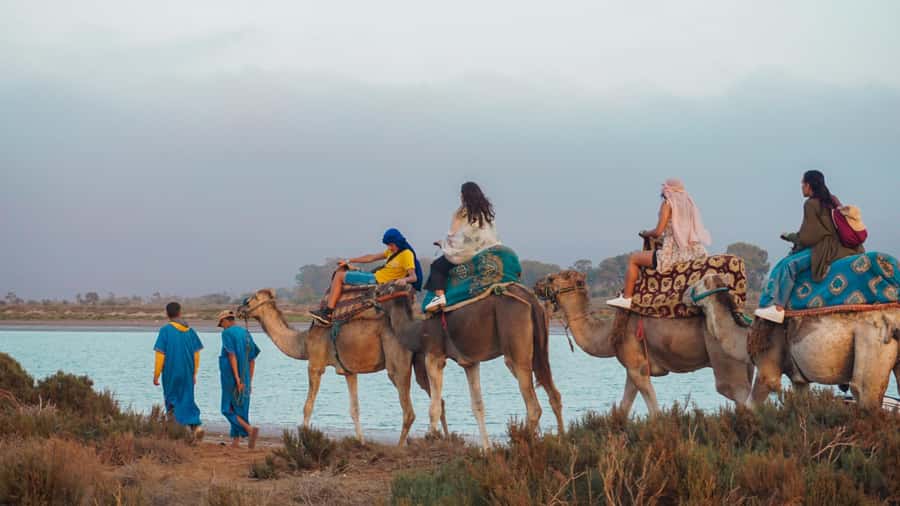 Agadir/Taghazout: Camel Ride with Tea Drink and Transfers - The Camel Guide and Your Ride Basics (What Matters Most)