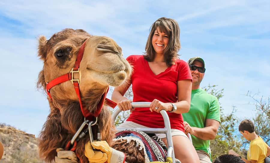 Agadir/Taghazout: Camel Ride with Tea Drink and Transfers - Who This Camel Ride Fits Best (And Who Should Skip It)
