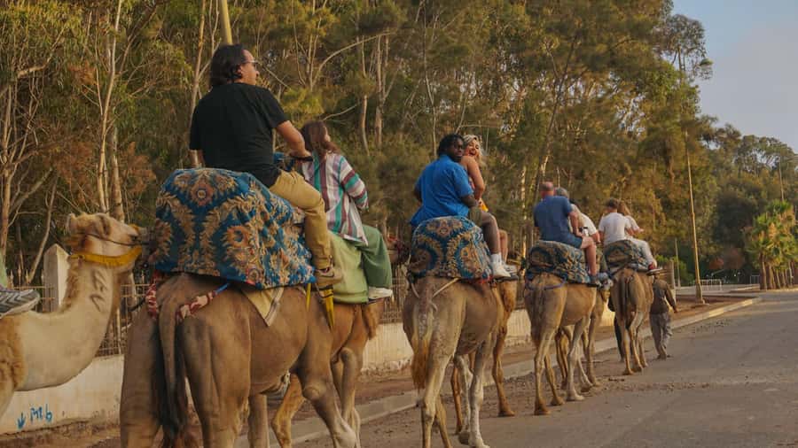 Agadir/Taghazout: Camel Ride with Tea Drink and Transfers - Practical Tips I’d Use in Agadir for a Smooth Ride