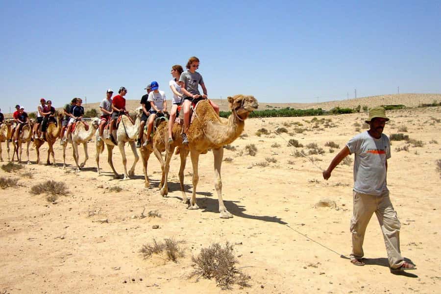 Agadir/Taghazout: Camel Ride with Tea Drink and Transfers - Should You Book This Agadir/Taghazout Camel Ride with Tea and Transfers?
