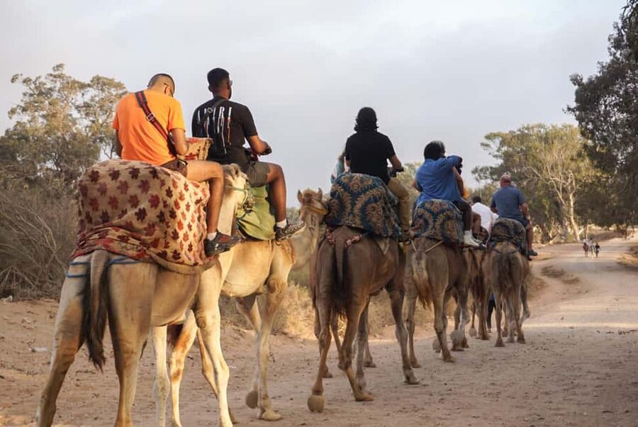 Agadir/Taghazout: Camel Rides with Tea Drink and Transfers - Key things to know before you ride