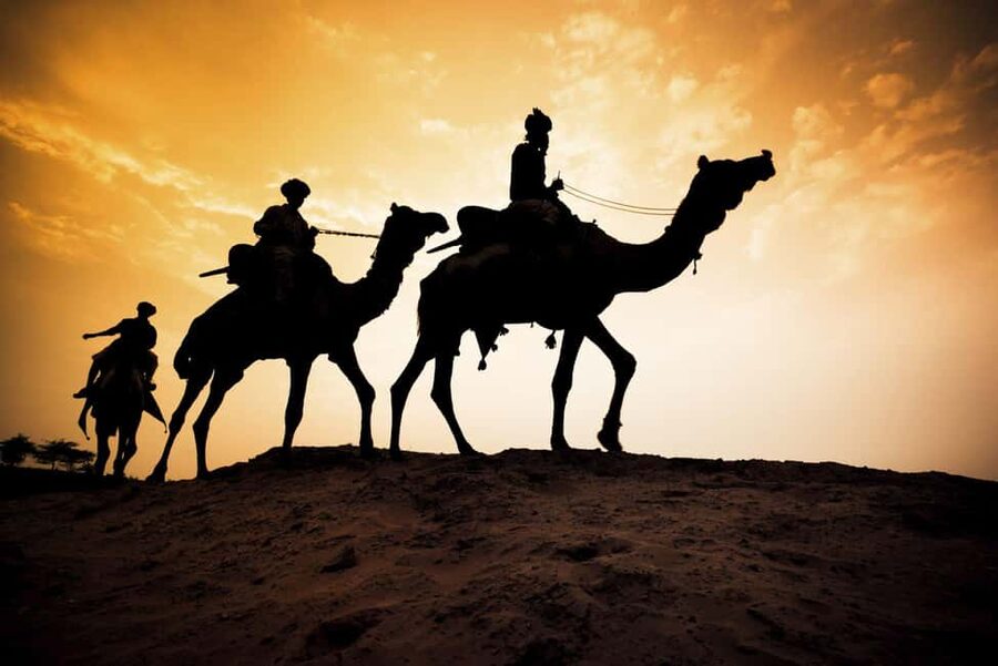 Agadir/Taghazout: Camel Rides with Tea Drink and Transfers - Photos and the optional photo purchase: how it works in real life