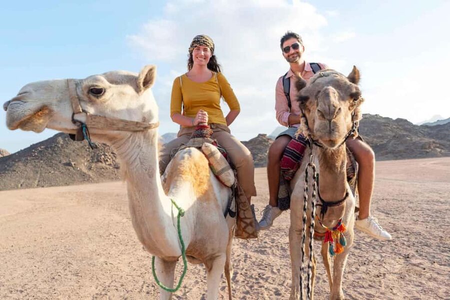 Agadir/Taghazout: Camel Rides with Tea Drink and Transfers - Price and value: what $22 buys you in Agadir