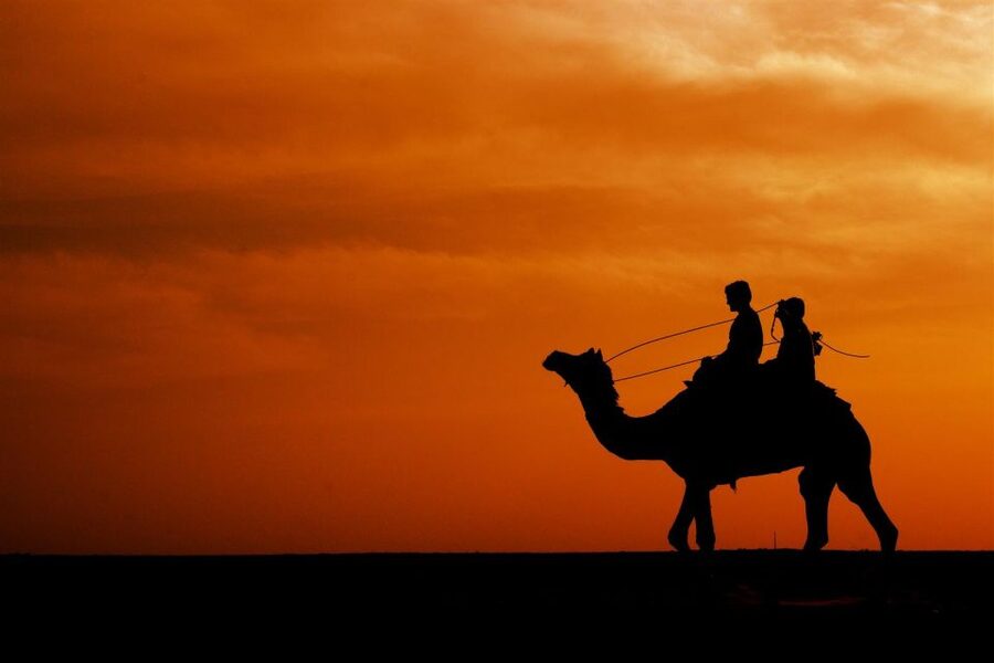 Agadir/Taghazout: Camel Rides with Tea Drink and Transfers - Comfort, safety, and animal care: the honest checklist