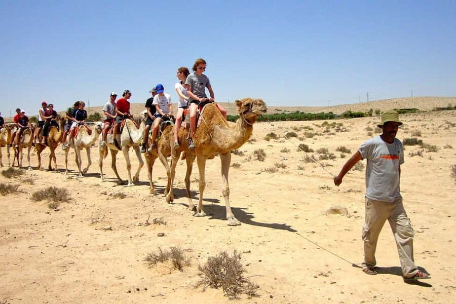 Agadir/Taghazout: Camel Rides with Tea Drink and Transfers - Who should book this camel ride, and who might pass