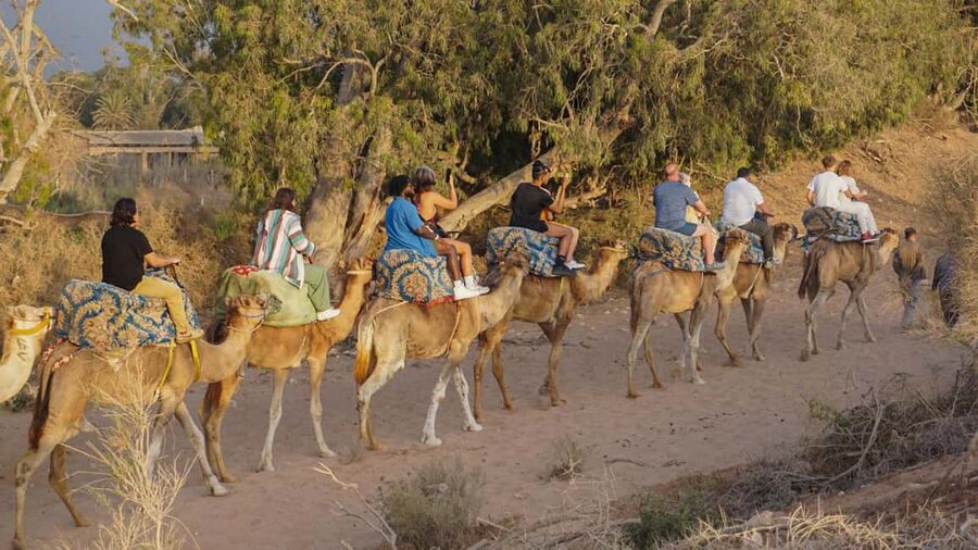 Agadir/Taghazout: Camel Rides with Tea Drink and Transfers - The tea and biscuits stop: the real payoff after the jostling