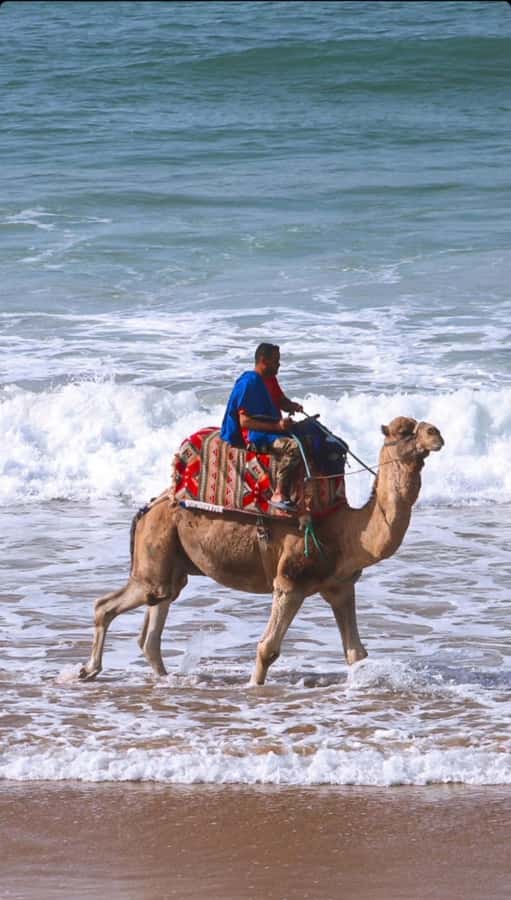 Agadir: Taghazout, Colorful village & Timlaline Desert Trip - The Guide Experience: Omar, Hassan, Lahcen, and the Value of Being Led