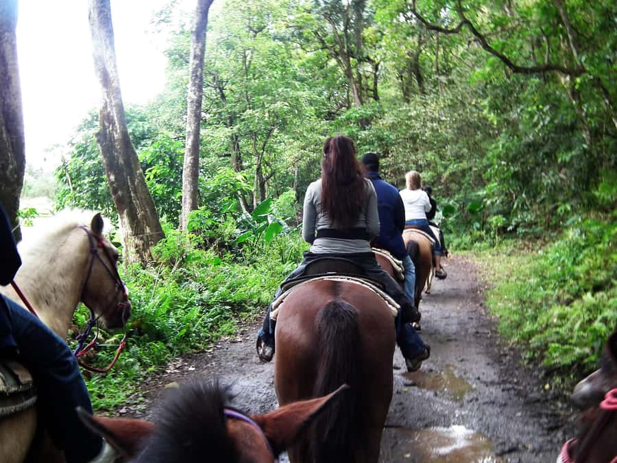 Agadir/Taghazout: Horse Rides Experience With Transfers - Horse Rides Around Agadir, What 1 to 2 Hours Really Means