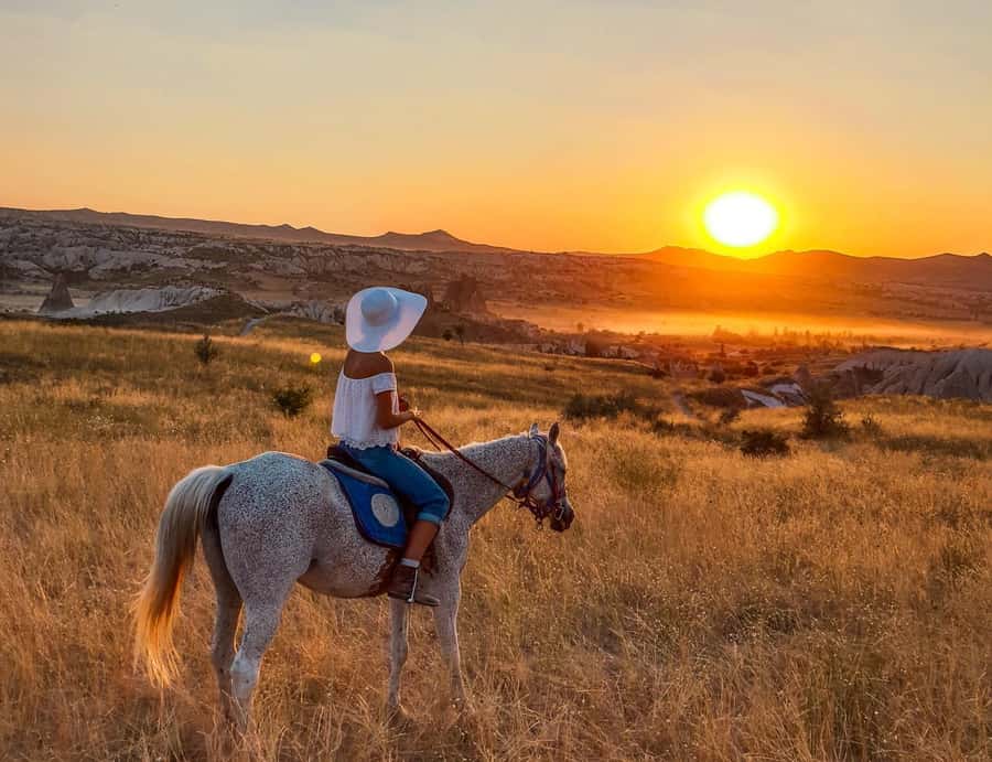 Agadir/Taghazout: Horse Rides Experience With Transfers - Meet the Horses, Calm Temperament and What That Does for Your Comfort