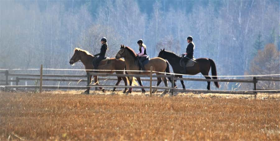 Agadir/Taghazout: Horse Rides Experience With Transfers - How to Prepare, Small Choices That Make a Big Difference