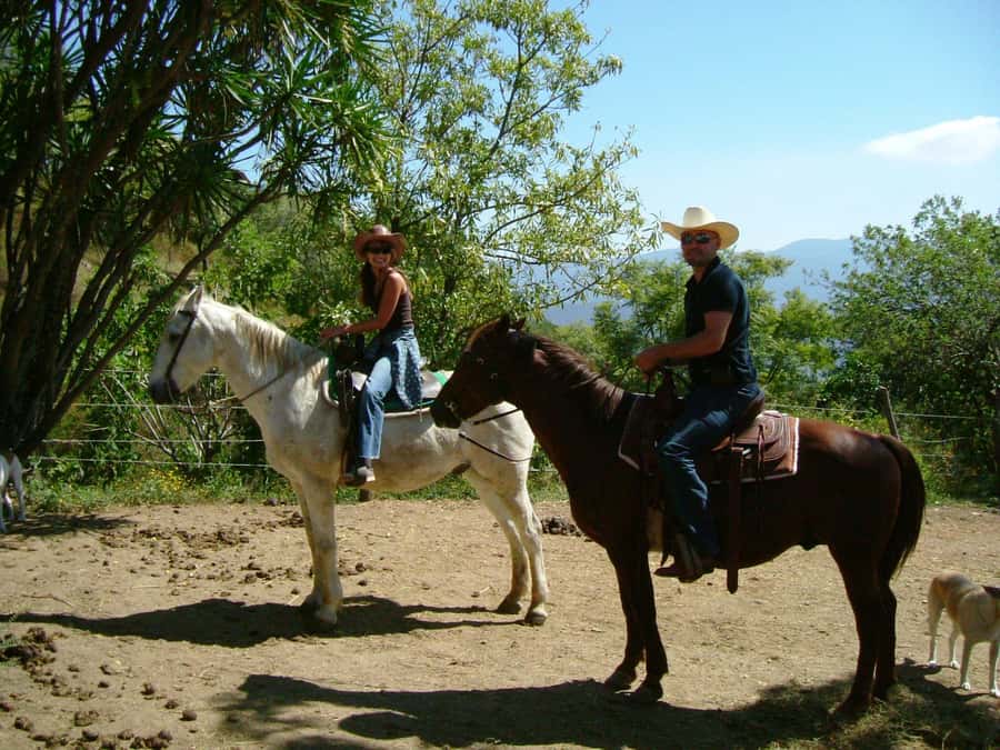 Agadir/Taghazout: Horse Rides Experience With Transfers - Getting There Smoothly, Agadir Pickup and Optional Taghazout Transfers