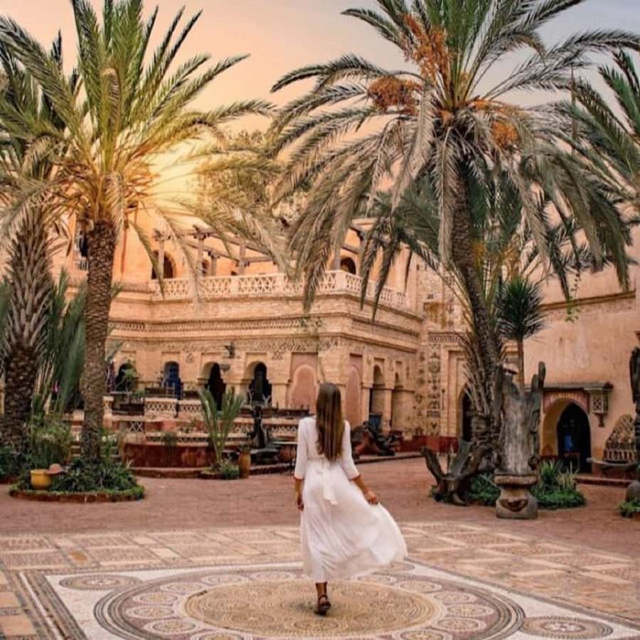 Agadir/Taghazout: Old Medina of Coco Polizzi and Agadir Tour - Argan Oil Factory: Education First, Then Compare Prices