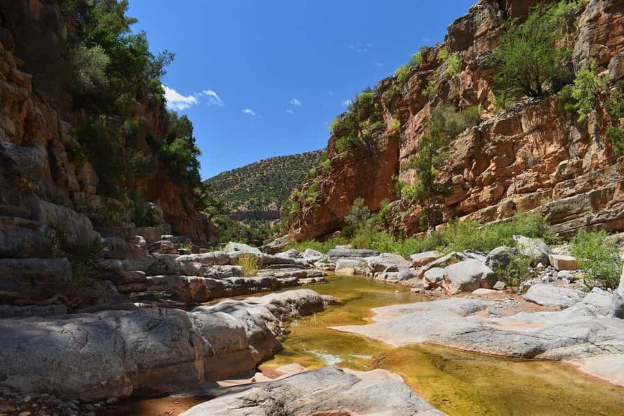 Agadir/Taghazout: Paradise Valley Atlas Mountains Trip - Price and Value: Is $20 Per Person Actually Fair?