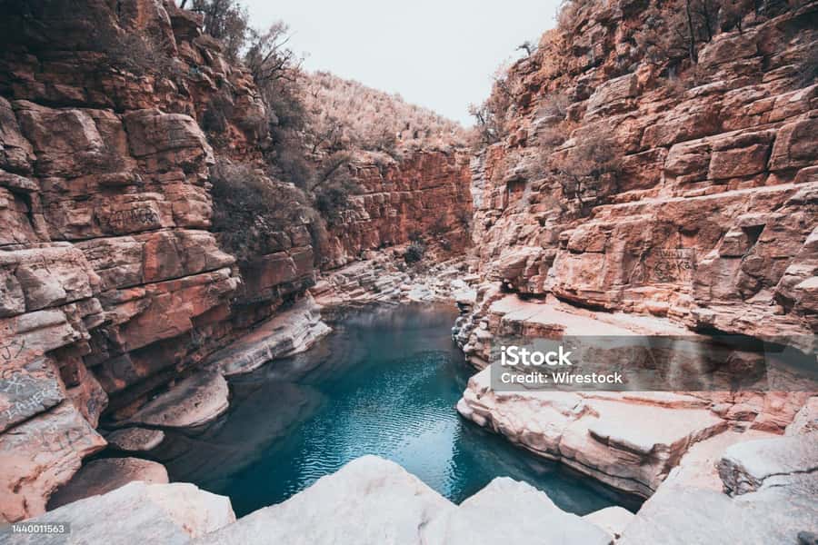 Agadir/Taghazout : Paradise Valley & Sandboarding with Lunch - The argan and Atlas Mountains stops, small pieces that add context