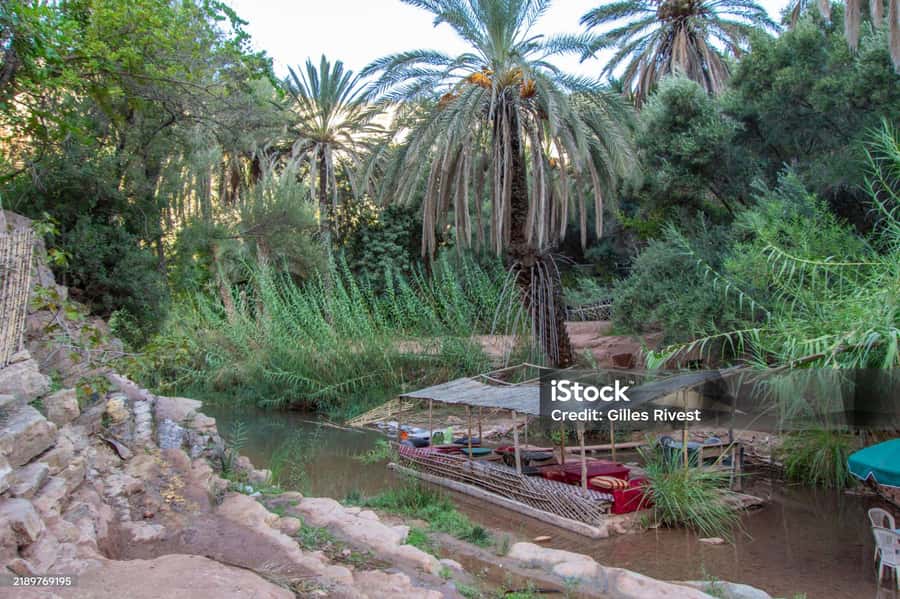 Agadir/Taghazout : Paradise Valley & Sandboarding with Lunch - Getting picked up in Agadir or Taghazout, and why the timing matters