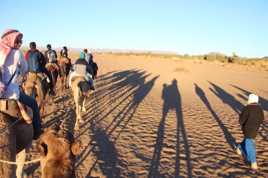 Agadir/Taghazout/Port: Camel Ride Tea & BBQ Option - Key points worth knowing