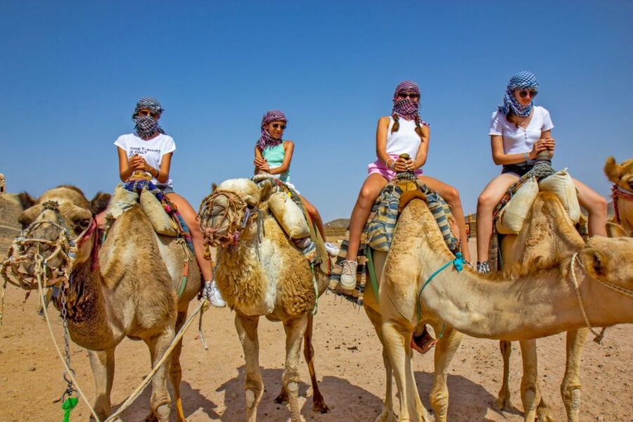 Agadir/Taghazout/Port: Camel Ride Tea & BBQ Option - Agadir on camel time: why the Souss River and bird stop matter
