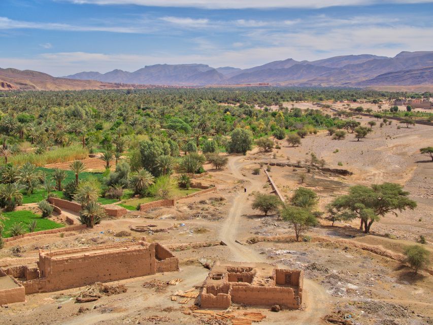 Agadir/Taghazout/Port: Paradise Valley Atlas Mountains Trip - Price and value: what about $21 covers (and what to budget)