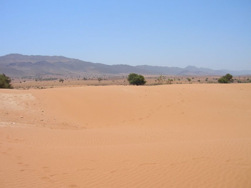 Agadir/Taghazout/Port: Sahara Desert 4x4 Day Trip with Lunch - Tiznit, the Silver City: A Real Town Stop, Not Just a Photo Stop