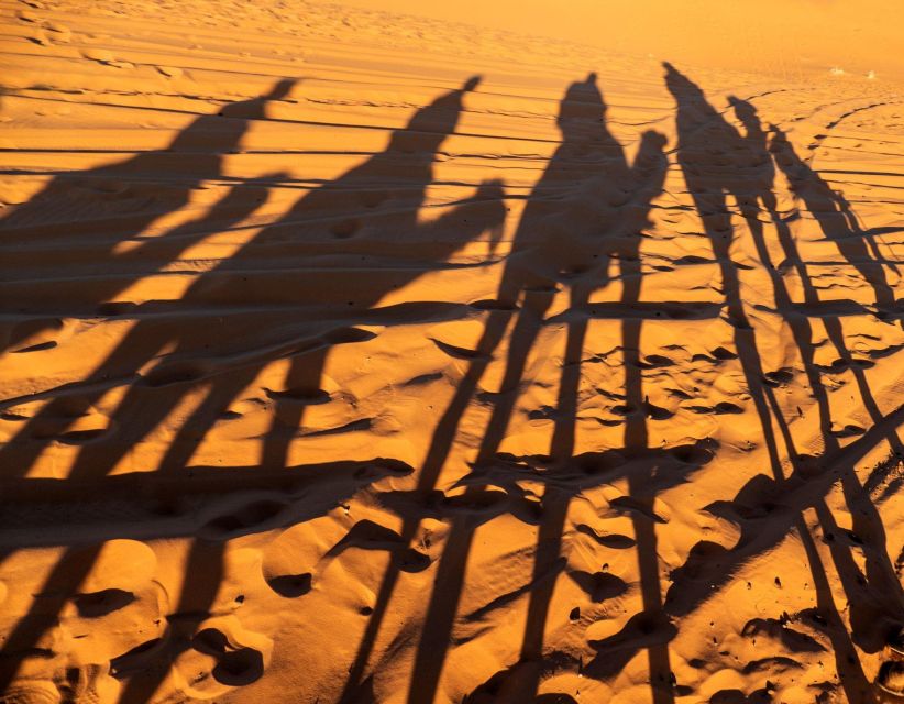 Agadir/Taghazout/Port: Sahara Desert 4x4 Day Trip with Lunch - Pickup, Driving Style, and the 4x4 Moment You Came For