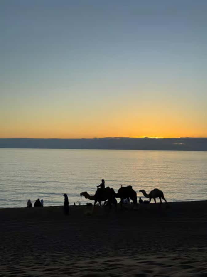 Agadir/Taghazout : Quad Bike & Camel Ride On The Beach - Who should book this, and who should think twice