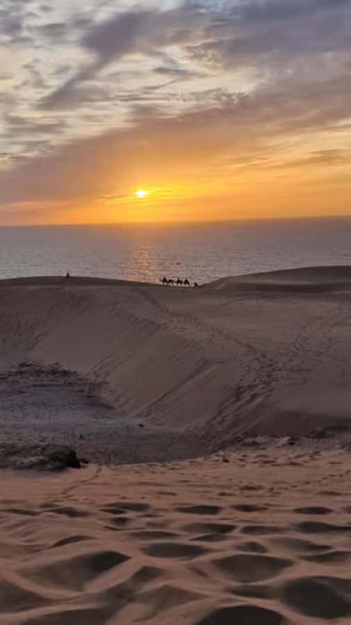 Agadir/Taghazout : Quad Bike & Camel Ride On The Beach - Banana beach vibes and ocean views you can actually feel