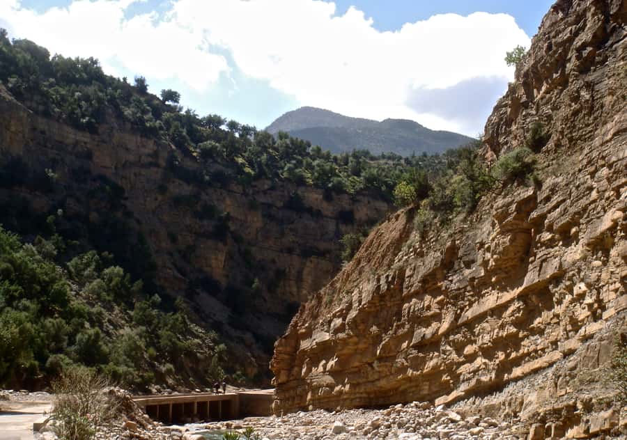 Agadir/Taghazout/Tamraght: Paradise Valley Best Tour - Price and Value: Why $20 Per Person Can Make Sense
