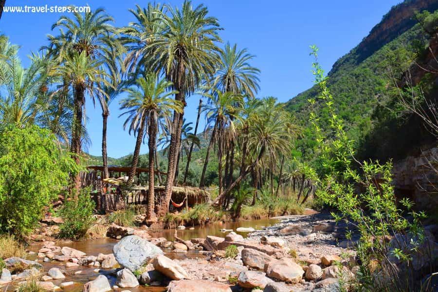 Agadir/Taghazout/Tamraght: Paradise Valley Best Tour - Your 8:30 AM Start and the Trip North