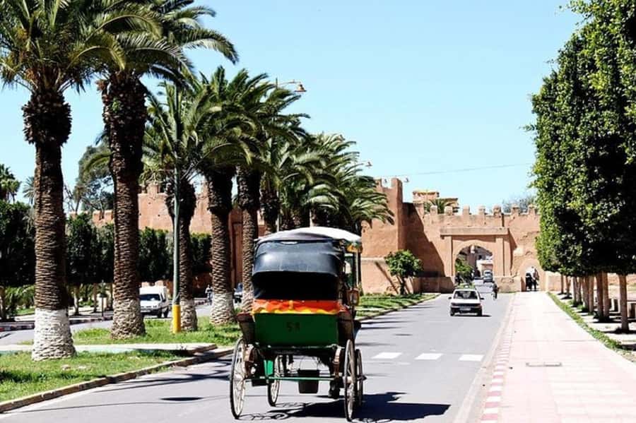 Agadir: Taroudant Oasis and Tiout Day Trip with Lunch Option - Timing, Shopping Stops, and How to Get the Most Out of the Schedule