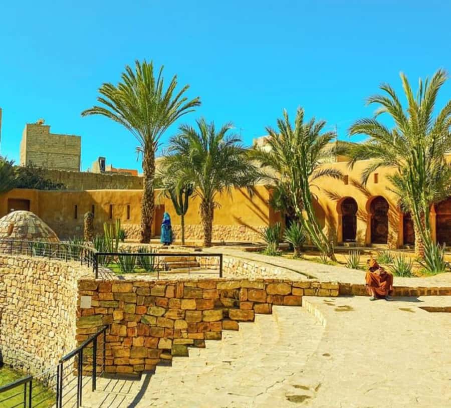 Agadir: Taroudant Oasis and Tiout Day Trip with Lunch Option - The Tiout Palm Oasis and Kasbah on a Hill