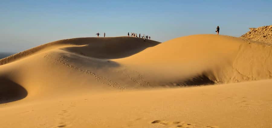 Agadir: Timlaline Desert and Paradise Valley with Camel Ride - The Alma stop: argan oil, a botanical stroll, and local buying that makes sense